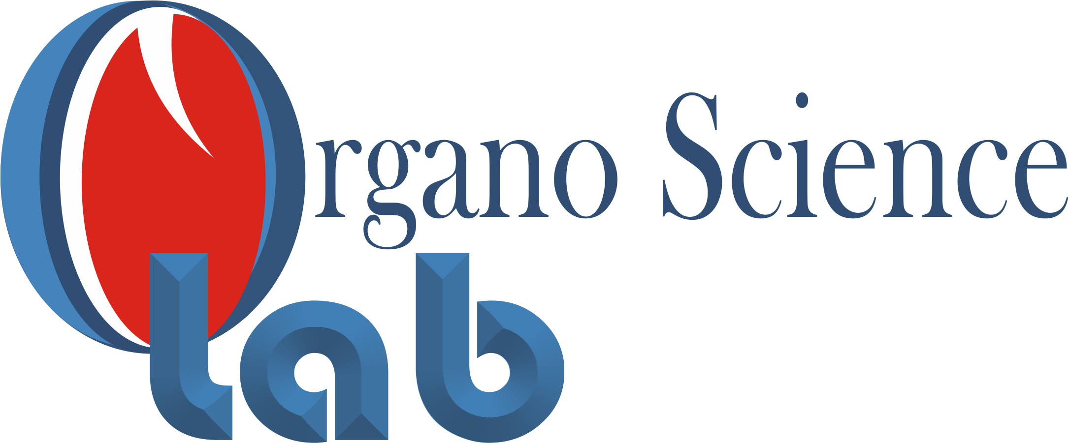 Logo Organo ReBuild 2019